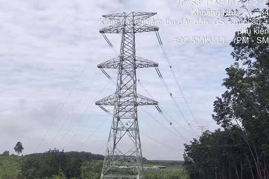 Bàn giải pháp tháo gỡ vướng mắc mặt bằng các dự án truyền tải tại Đồng Nai