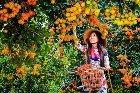 Hàng loạt dự án "khủng" cam kết đầu tư vào Đông Nam Bộ, tổng giá trị tới 4,5 tỷ USD