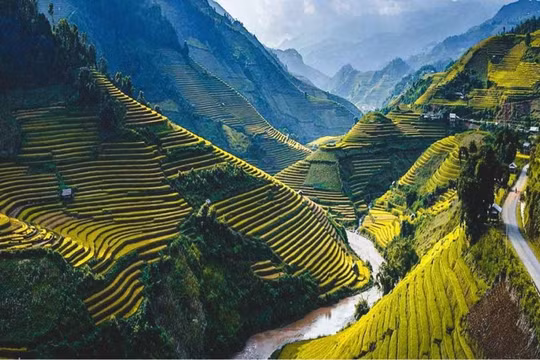 Giá lương thực toàn cầu tăng vọt, gạo sẽ là nông sản tiếp theo tăng giá