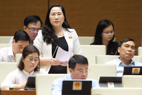 Đại biểu Quốc hội: Nhiều vụ bạo hành trẻ em có sự dung túng, tiếp tay bởi chính những người ruột thịt