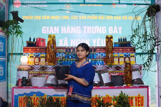 Kon Tum: Sẽ tổ chức phiên chợ sâm Ngọc Linh 2 lần/năm