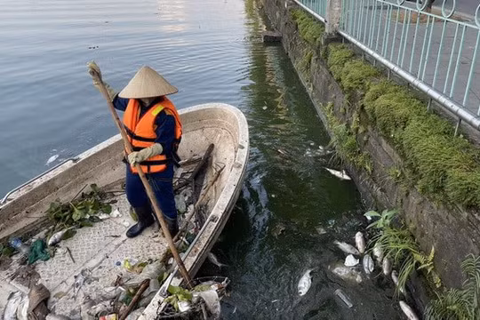 Tăng cường duy trì quản lý hồ điều hòa trước hiện tượng cá chết
