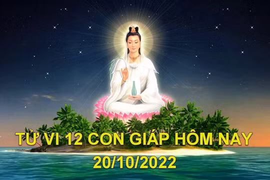 Tử vi hôm nay 20/10/2022, thứ 5 ngày 25/9 âm lịch của 12 con giáp