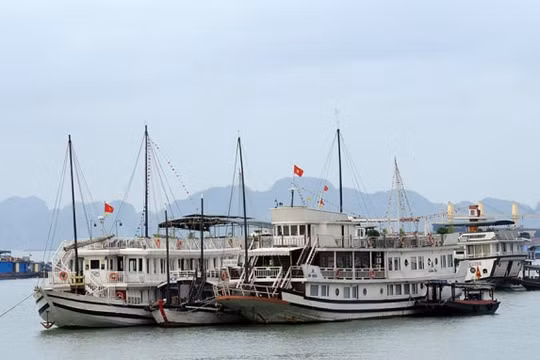 Khai thác thêm 5 tuyến vận tải từ bờ ra đảo góp phần phát triển kinh tế, du lịch