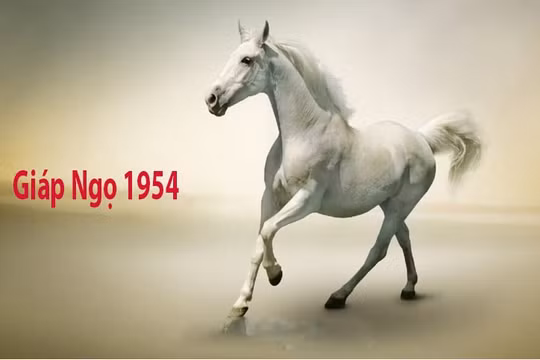 Tử vi 2023 tuổi Ngọ theo từng năm sinh