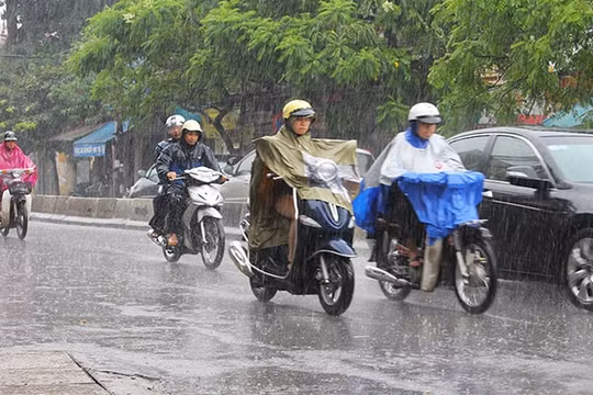 Dự báo thời tiết 25/11: Vùng núi Bắc Bộ và Bắc Trung Bộ cục bộ có mưa to
