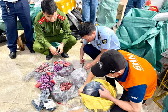 Hà Nội: Phát hiện hơn 11 kg hàng hóa nghi vấn là pháo nổ