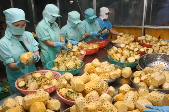 Việt Nam đứng đầu các nước trong khu vực Đông Nam Á xuất khẩu sang Hungary