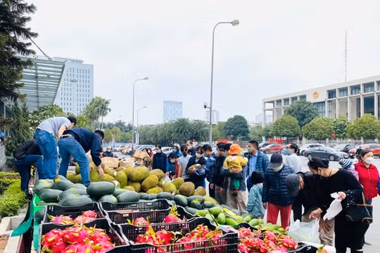 Tháo gỡ khó khăn thúc đẩy tiêu thụ thanh long và nông, thủy sản sang thị trường Trung Quốc