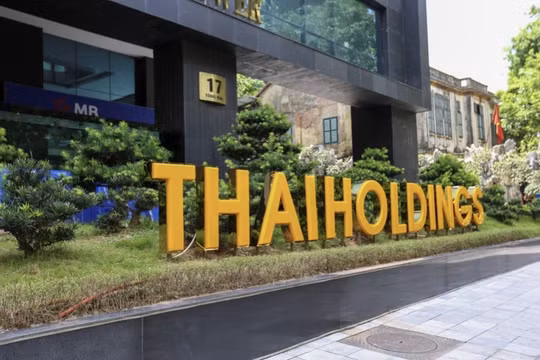 Thaiholdings nhận lại dự án 11A Cát Linh, điều chỉnh lợi nhuận năm 2021 về 424 tỷ đồng