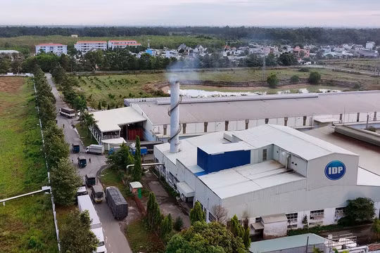 Kinh doanh gặp khó, giá nguyên liệu tăng ăn mòn lợi nhuận, Sữa Quốc tế (IDP) vẫn muốn phiêu lưu với bất động sản?