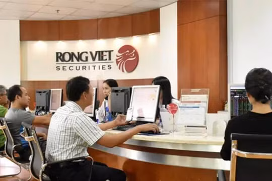 Chứng khoán Rồng Việt (VDS) báo lỗ nặng, doanh thu giảm, vẫn thưởng 450.000 cổ phiếu ưu đãi cho TGĐ