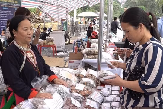 Hà Nội: Ban hành Kế hoạch về triển khai Dự án 8 thuộc Chương trình MTQG vùng đồng bào dân tộc thiểu số