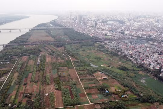 Hà Nội mạnh tay xử lý các trường hợp xây dựng trên đất nông nghiệp trái quy định
