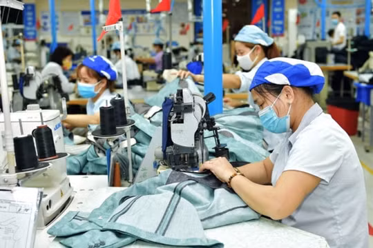 “Để kinh tế sớm phục hồi, cần có những chính sách hỗ trợ doanh nghiệp kịp thời”