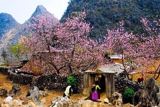 Cao nguyên đá Đồng Văn - điểm du lịch 'đáng đi' trong ngày xuân Nhâm Dần