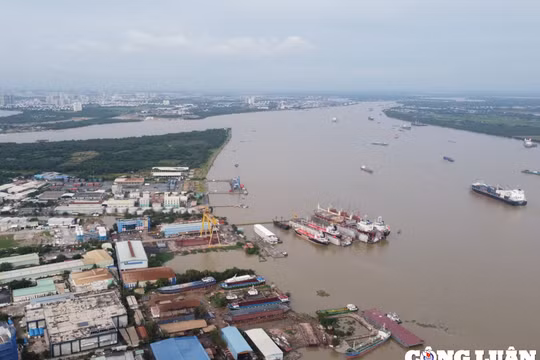 5 phương án xây cầu Cát Lái sẽ ảnh hưởng đến TP.HCM như thế nào?