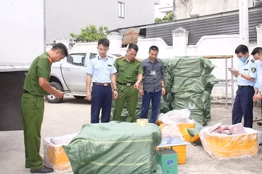 Vận chuyển 1,2 tấn trường lợn từ Hà Nội đi các tỉnh phía Nam tiêu thụ