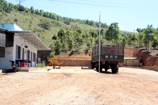 UBND tỉnh Kon Tum chỉ đạo xử lý các trạm cân "mọc" trái phép
