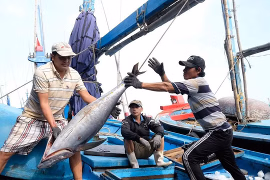 Ngăn chặn, giảm thiểu và loại bỏ khai thác hải sản bất hợp pháp