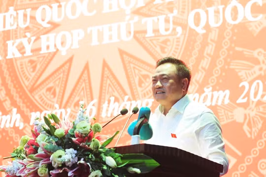 Chủ tịch Hà Nội: Trả đất dịch vụ cho dân, "không dính dáng gì cả thì dũng cảm mà làm"
