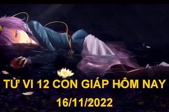 Tử vi hôm nay 16/11/2022, thứ 4 ngày 23/10 âm lịch của 12 con giáp