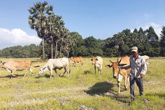 An Giang: Phát triển toàn diện, nhanh, bền vững vùng đồng bào dân tộc thiểu số