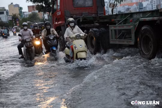 WB: “Việt Nam phải giành nguồn lực lớn để bảo vệ TP.HCM”