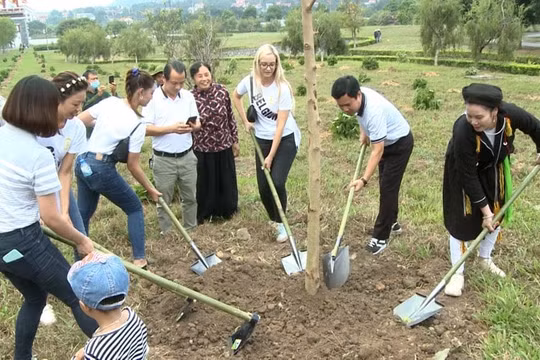 Thí sinh Hoa hậu Du lịch thế giới trồng cây tại Vĩnh Phúc