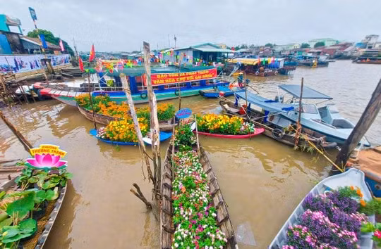 Khai mạc Ngày hội Du lịch Văn hóa chợ nổi Cái Răng năm 2022