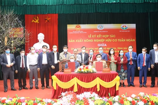 Tập đoàn Quế Lâm hợp tác nông nghiệp tuần hoàn ở huyện Vũ Quang
