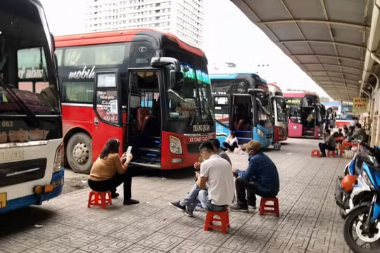 Giá xăng dầu tăng phi mã, bến vắng, xe thưa, doanh nghiệp "chạy cầm cự"