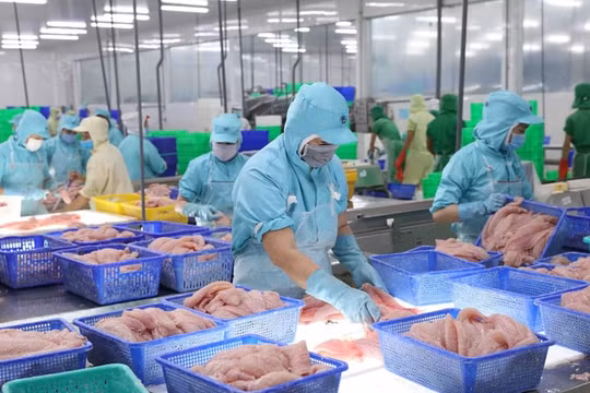 Dư địa xuất khẩu sang EU còn rất lớn
