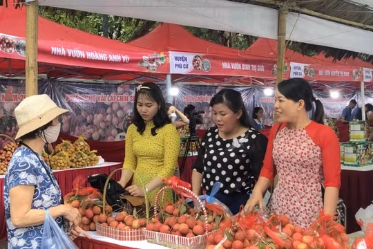 Đưa nông sản vùng miền đến với người tiêu dùng Thủ đô