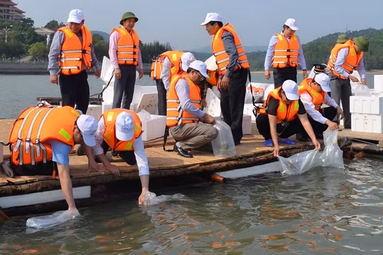 Năm 2022, dự kiến thả 53 triệu con, 150 tấn giống để tái tạo nguồn lợi thủy sản