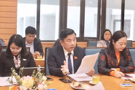 Thiếu trường học, nhưng quy hoạch có vấn đề, dự án “tắc” thủ tục, chưa xây được trường