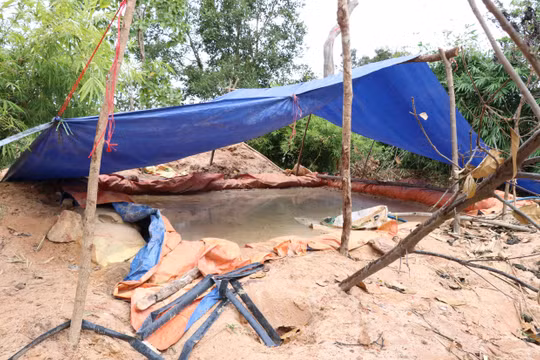 Gia Lai: Đào hầm, dựng lán trại trên đất rừng để khai thác vàng trái phép