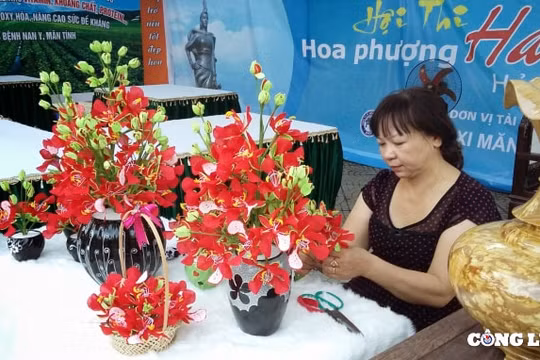 Hải Phòng mở cuộc thi sáng tác biểu tượng cho thành phố, tổng giải thưởng 700 triệu đồng
