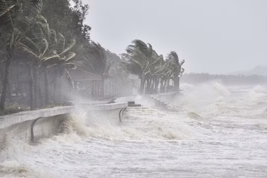 Biển Đông sắp xuất hiện áp thấp, miền Bắc có khả năng đón mưa to