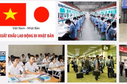 Lao động Việt Nam xuất khẩu nhiều nhất sang Nhật Bản