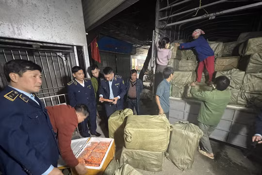 Yên Bái phát hiện trên 7 tấn tràng trứng đông lạnh, đã bị biến đổi màu trị giá 1,1 tỷ đồng