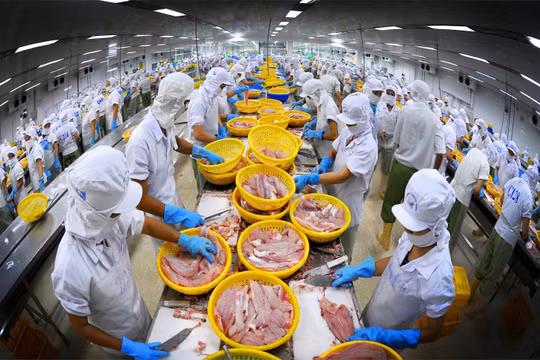 92-95% kim ngạch xuất khẩu ngành thủy sản do doanh nghiệp Việt Nam tạo ra