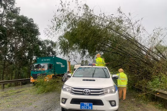 Lực lượng CSGT khắc phục hậu quả trên các tuyến đường sau bão Noru