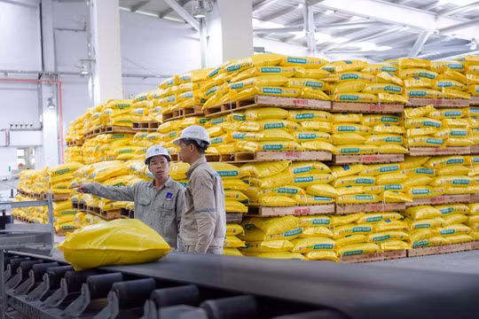 Thị trường phân bón liệu có còn biến động?