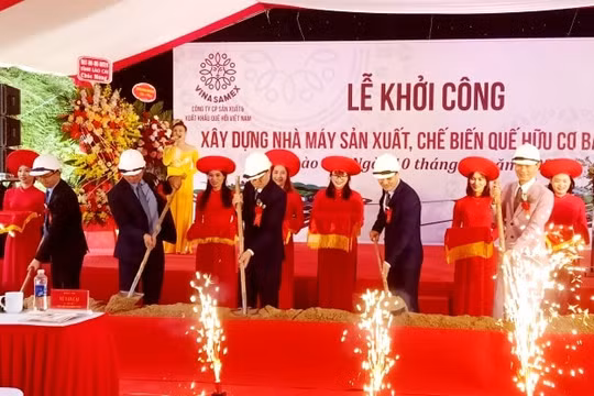 Lào Cai: Xây dựng nhà máy chế biến quế hữu cơ 400 tỷ đồng