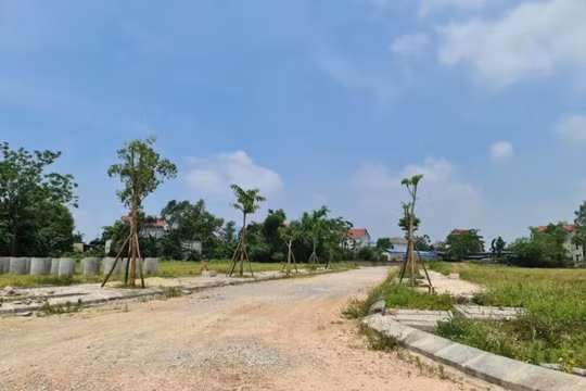 Hà Nội mạnh tay xử lý thu hồi đất đối với trường hợp chây ỳ nợ thuế, hoặc bỏ hoang