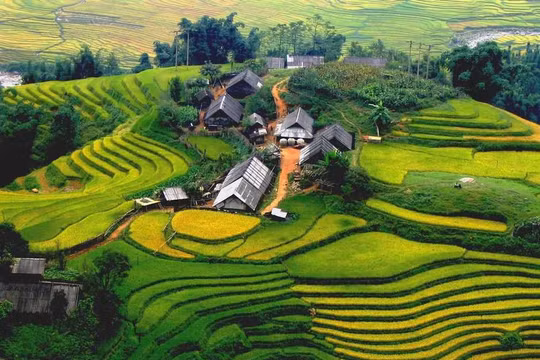 8 cung đường trekking tuyệt đẹp ở Việt Nam