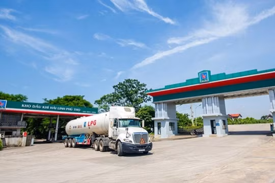 Xăng dầu Hải Linh: Bị thanh tra, nợ gấp 5 lần vốn, khả năng trả nợ yếu