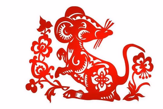 Tử vi tuổi Tý 2023 theo từng năm sinh