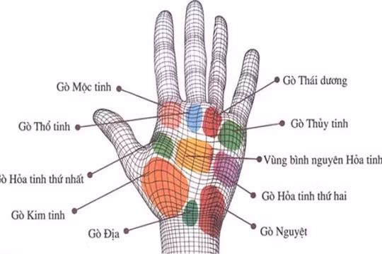 Tướng bàn tay phụ nữ có tài, giỏi giang